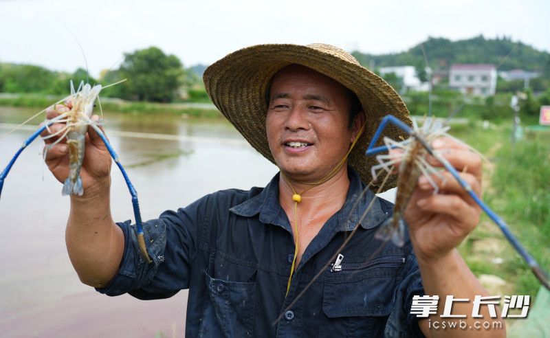 荷文公路让浏阳市中和镇的交通更为便利，该镇苍坊村村民叶光明信心十足，大力发展生态种养产业，收益可观。